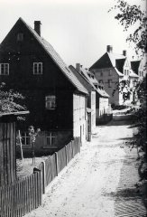gruenhainichen (61).JPG